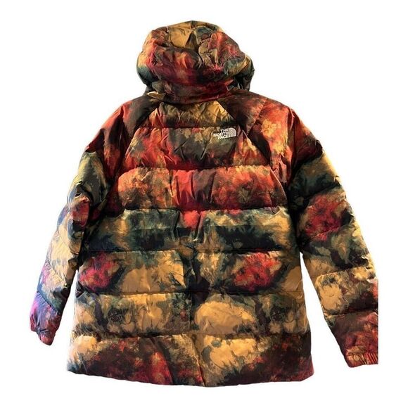 The North Face Jacket Womens Medium Multicolor Hydrenalite Midi Anorak NWT $285 - Picture 1 of 13